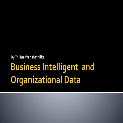 2 business intel and org data