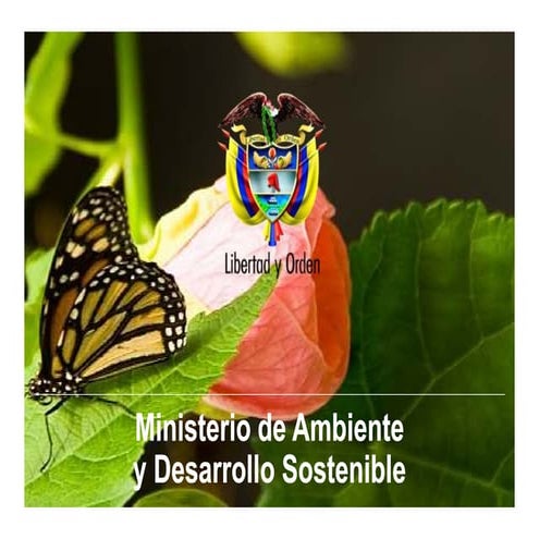 alejandra-torres-mads