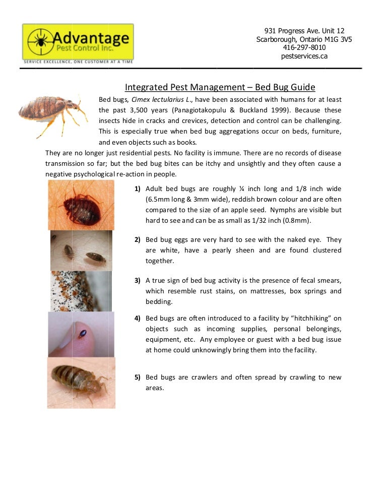Advantage Bed bug Pest Control