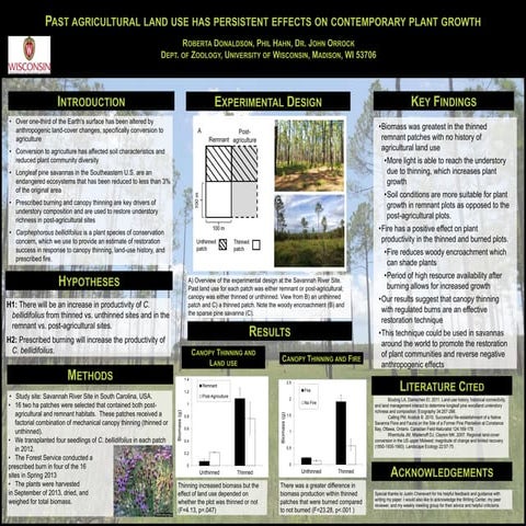 Ecology lab report | DOCX