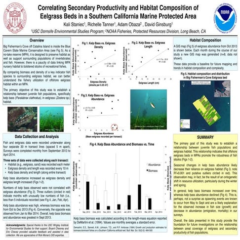 The Ecology of Forage Fish in the Salish Sea | PDF