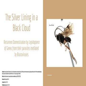 COMPS presentation (3)