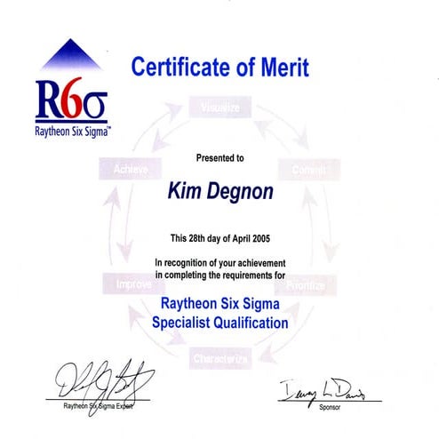 Raytheon - Certificate of Merit