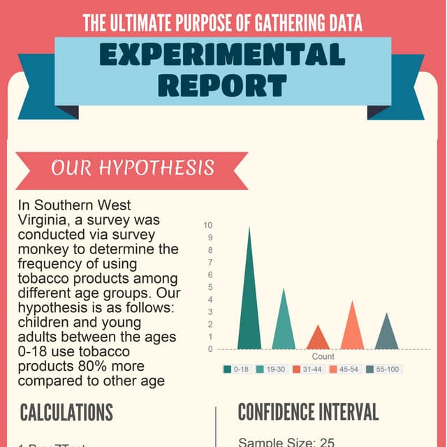 Experimental Report Copy