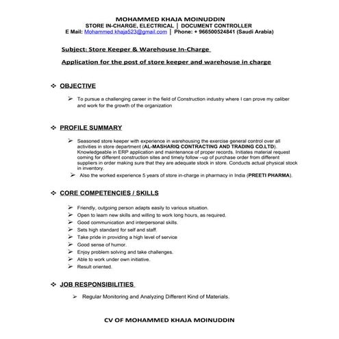 CV Summary | DOCX