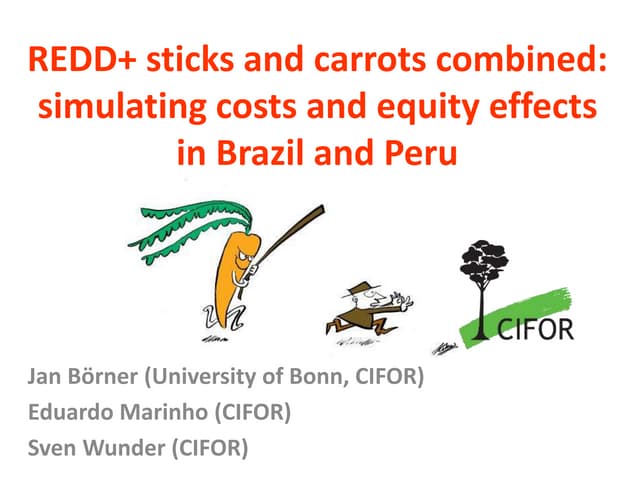 REDD+ sticks and carrots combined: simulating costs and equity effects in Brazil and Peru