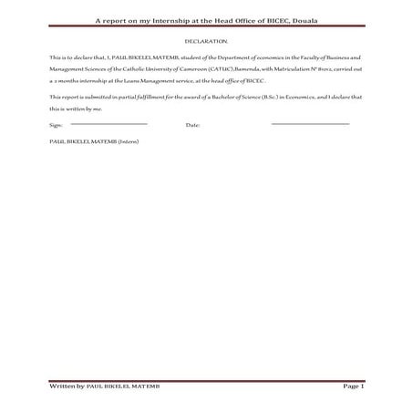 My Internship Report (Autosaved) | DOCX