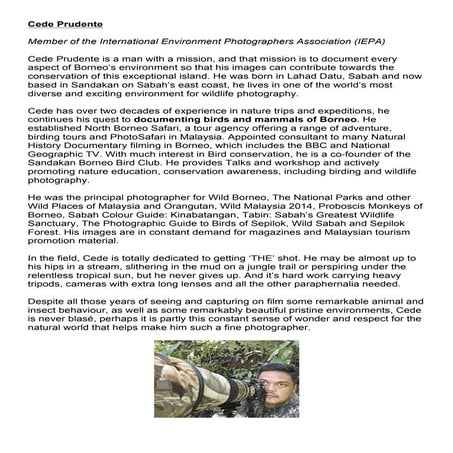 Cede Profile Aug 2016