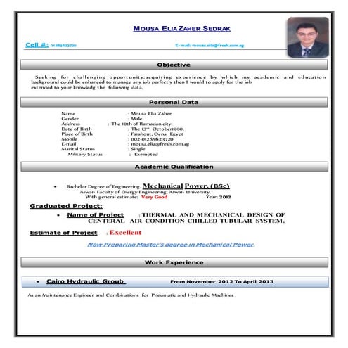 Mechanical Engineer CV .doc1