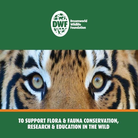 1454 DWF Corporate Brochure