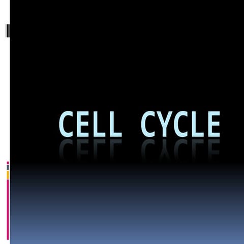 2 cell & cell cycle