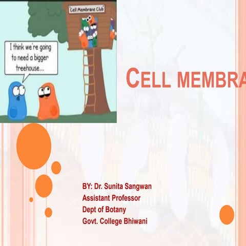 cell membrane