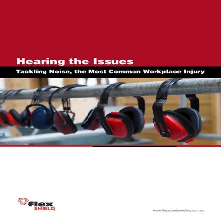 Pulsar Instruments - Occupational Noise Measurement | PDF