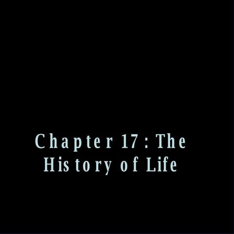 2chapter17