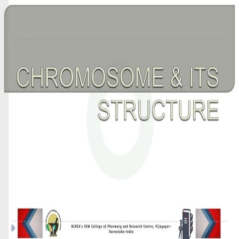 Morphology of Chromosomes | PPTX