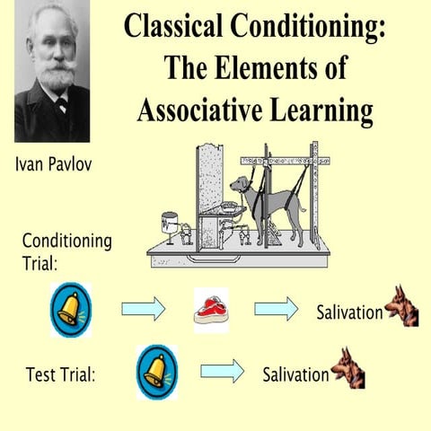 classical conditioning