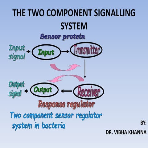 Two-component Signal Transduction