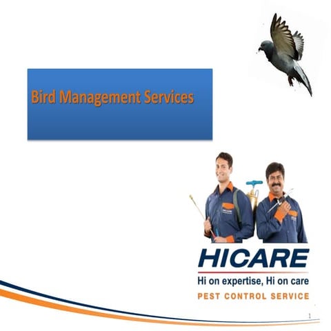5 proven methods of bird control | PPT