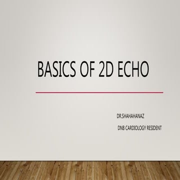2d echo basics