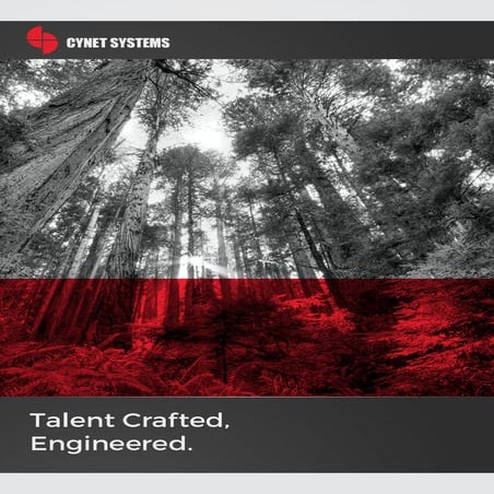 CYNET SYSTEMS - Booklet