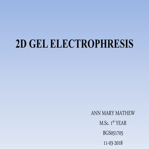 2 d gel electrophresis
