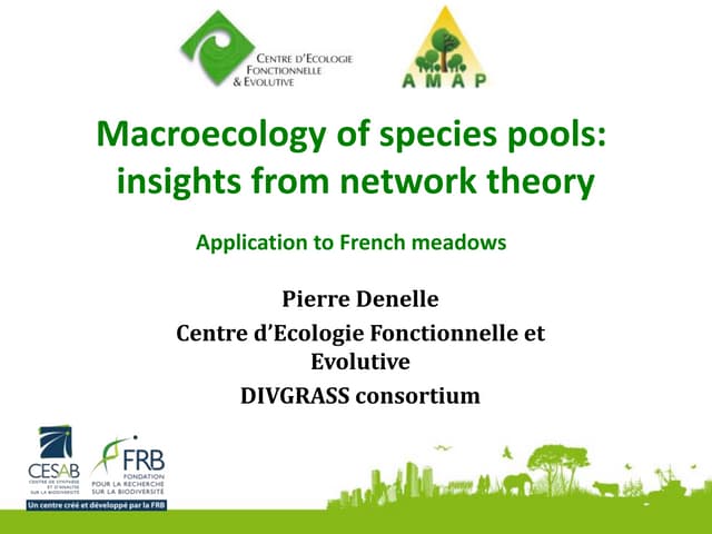 Macroecology of species pools: insights from network theory