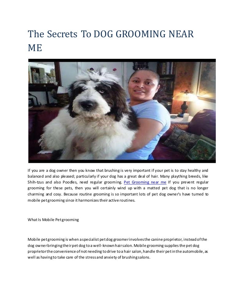 dog clippers near me