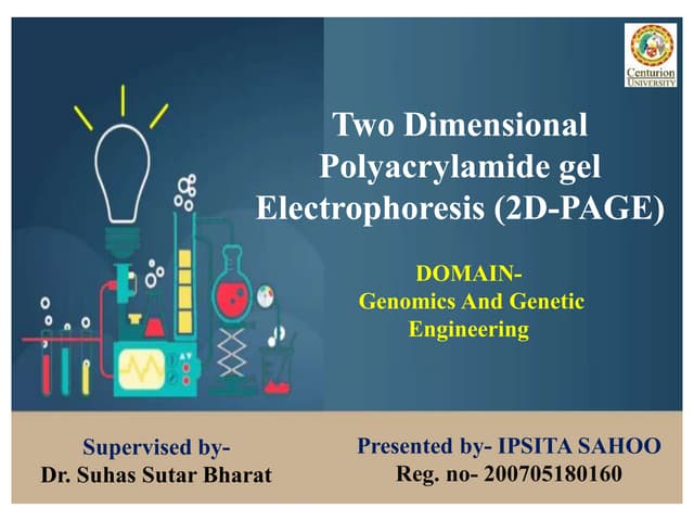 Two-dimensional polyacrylamide gel electrophoresis (2D-PAGE)