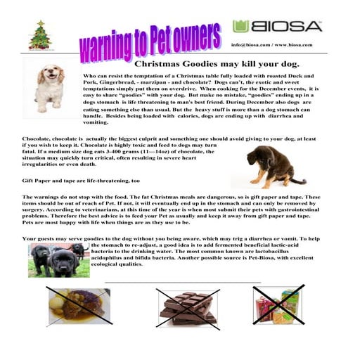 Curated visual reference: Picture Idea: Chocolate Poisoning In Pet Dogs