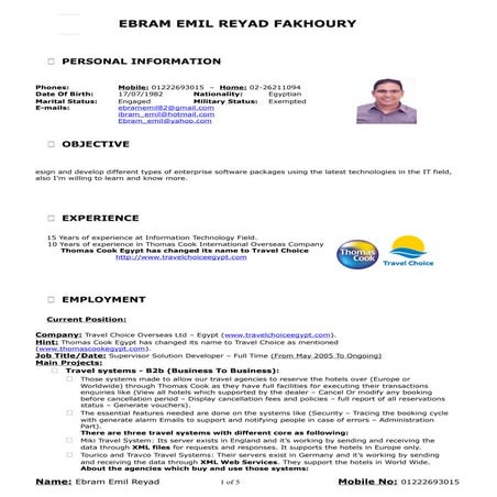 Hiba M.Sayyed-CV | PDF