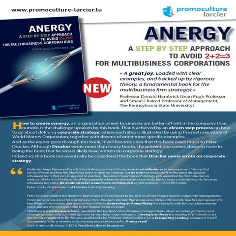 1-Book Anergy