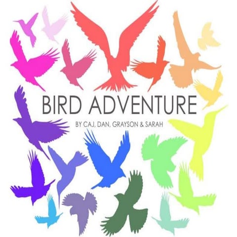 RAMM-Bird-Adventure-Powerpoint