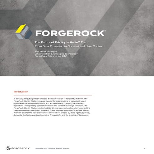 WP-Privacy-IoT-Era - PRODUCTION