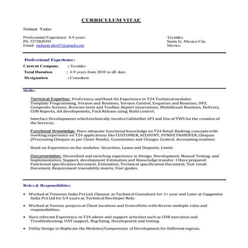 Resume_T24_7 years_Nishant Yadav