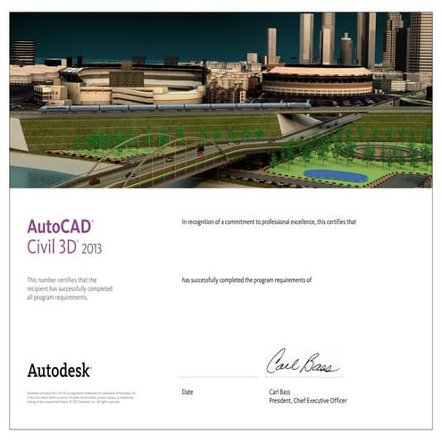 Autocad Certified Professional | PDF