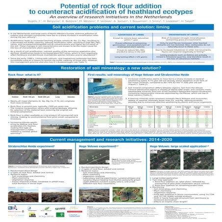 Poster Heathland Rockdust Experiments
