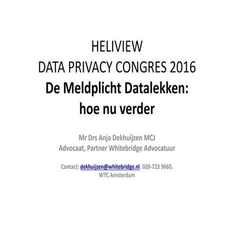 HELIVIEW DATA PRIVACY 2016