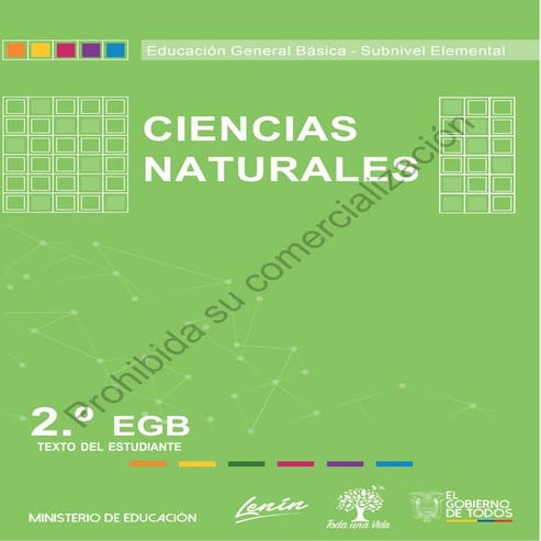 2egb-CCNN-F2 (1).docx