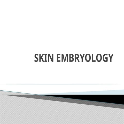2EMBRYOLOGY OF fetal SKIN DEVELOPMENT - Copy.pptx