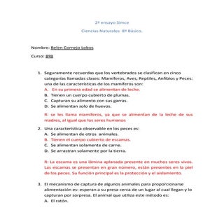 2ensayosimce 131014070549-phpapp01