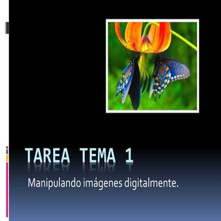 2º eso tarea tema 1