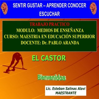 EL CASTOR