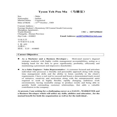 CV in Word Format (English)