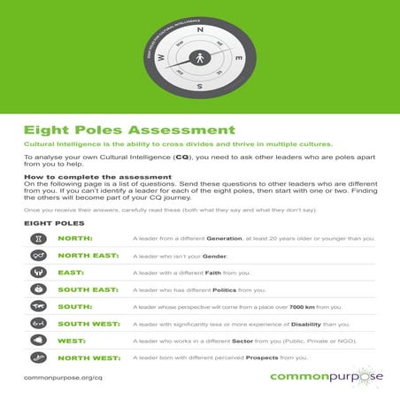 8poles_Assessment _v3