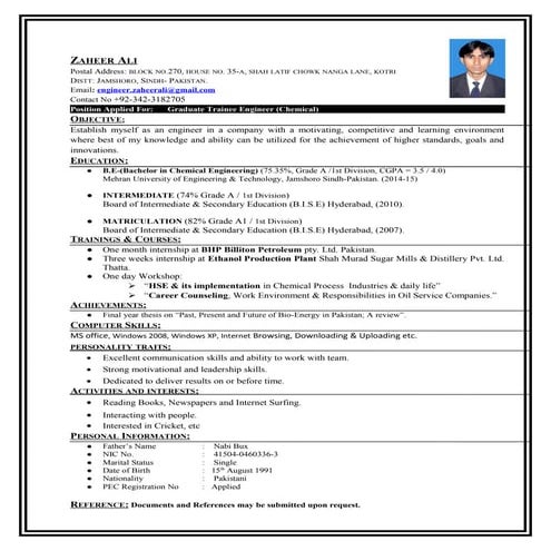 Ali Raza's CV | DOCX
