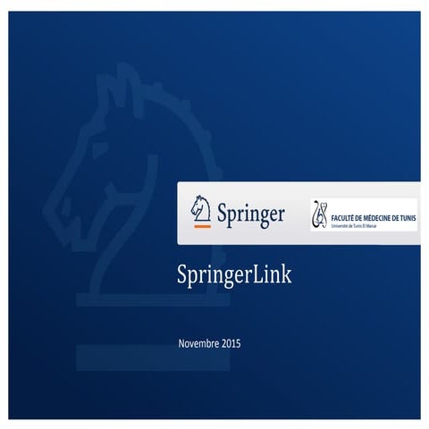 Workshop Springer - Tunisia