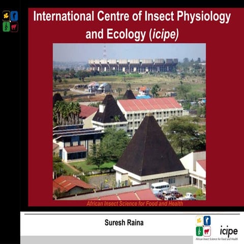 2 fara presentationghana raina