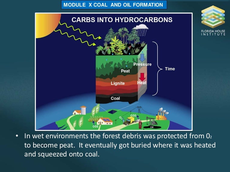 COAL AND OIL FORMATION