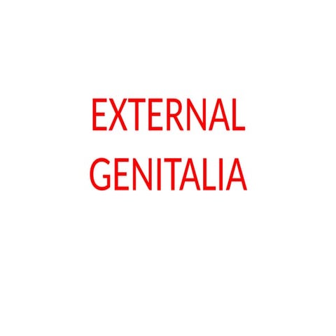 Female Organs of Reproduction-OBSTETRICS