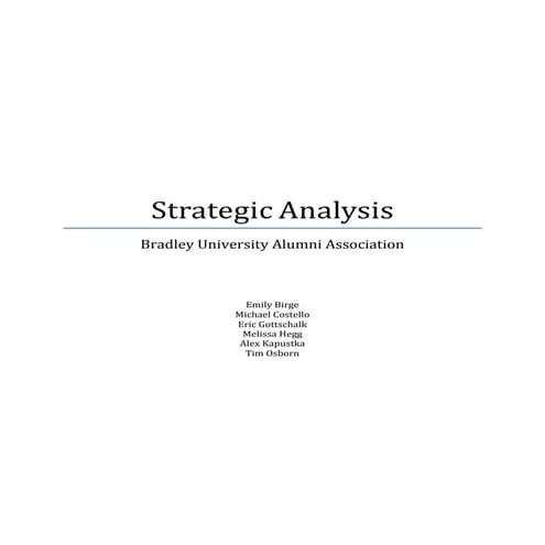 Bradley University Final Project | PDF